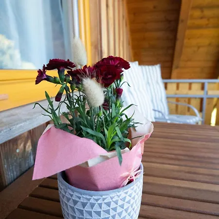 Apartman Muehlenblick Jg